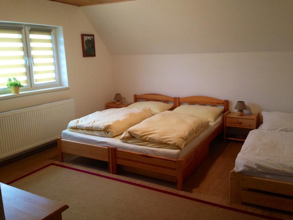 Apartment U Andela Dlouhá Ves Rum bild